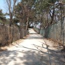 홍릉초교 이미지