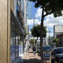 북항짱뚱어와 선어회 | 목포 북항짱뚱어 내돈내산 후기