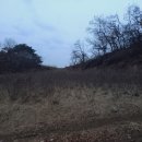 전지 작업