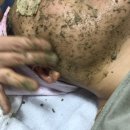 써니바이오 이미지