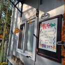 법흥 캠핑장 | 공기 좋았던 영월 법흥 캠핑장에서 첫 할로윈 후기