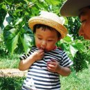 구름호수마을(운호마을) 이미지