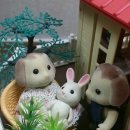 아동상담사 2급 자격 과정 이미지