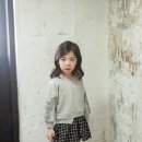 수블리 이미지