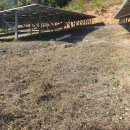 보성태양광발전소 이미지