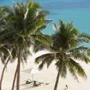 샹그리라 이미지