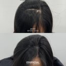 탄탄마케팅