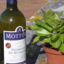 Primitivo di Manduria 2007 Mottura 辛와인 이미지