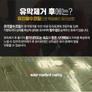 행복광택.스팀세차 이미지