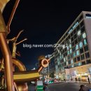 호텔 파레브 | [대천여행] 파레브호텔 숙박 후기✨ 수산시장 회 맛집까지 완벽한 힐링코스💙