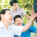 송산포도로 이미지