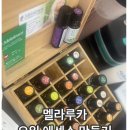 양산 멜라루카 아로마 화장품 원데이 클래스 블링블링