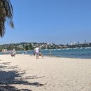 로즈비치 이미지