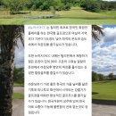 [클락 골프] 부산출발 8~9월 지정일특가 뉴아시아cc 골프텔 무제한골프 4박6일 429000~ 진에어 이미지