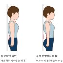 메디스포츠 네이버블로그