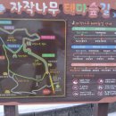 증평기점 | 좌구산(증평/청주, 657m)