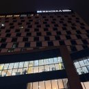 Sun Tree(썬 트리) | 서산 맛집 베니키아 호텔 '더 썬(The Sun)' 레스토랑, 크리스마스 이브 가족 디너 솔직 후기