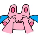 화실도화