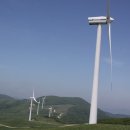 삼양목장 이미지