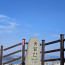 유달산 이미지