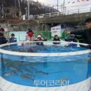 축제의땅 이미지