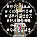 청지환경(주) | 경주여행코스 국립경주박물관 예약 관람정보 해설시간 주차 솔직후기
