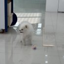 두카메디컬센터 이미지