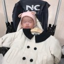 모이몰른엔씨 이미지