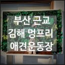 김해운동장 | 김해 애견운동장 멍프리 휴무일 금액 주차 외부음식 부산근교 강아지와 가볼만한 곳