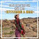 [8/30~9/4 몽골여행🇲🇳] 고비사막 여행 기록 1편 (feat.노라투어)