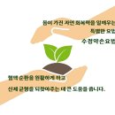 오라버니 | 요로 결석 완화도 가능 안양 인덕원역 마사지 수정 약손 건강 되찾은 혈육 오라버니 리얼 후기