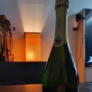 [와인후기] 보히가스, 까바 브뤼 리제르바 (Bohigas, Cava Brut Reserva) l 가성비 스파클링 와인