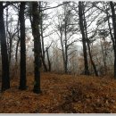 송암축산 이미지