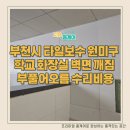 새오름가정의원 | 부천시 타일보수 원미구 학교 화장실 벽면 깨짐 부풀어오름 수리비용