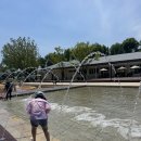 서울 용산어린이정원 새로 오픈한 “국립목재문화체험장” 후기 / 예약방법 - 분수정원 물놀이 정보까지!