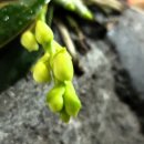 하동이용원 이미지