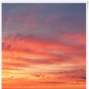 고양이는외계인 이미지