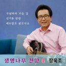 생명나무 찬양 4 - 장욱조//01-주님따라 가는 길 (복음성가 CCM 신보 미리듣기 MP3 가사) 이미지