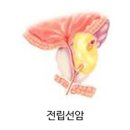 드림온비뇨의학과의원 네이버블로그