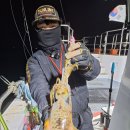 11.06 모이라호 야간 무늬오징어 조황 단골들과 함께하는 즐거운 조황 이미지