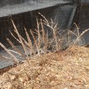 지석농장 이미지