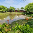 보령 나들이 2코스 이미지