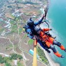 남해농산 이미지