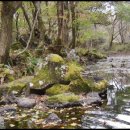 바라농장 이미지