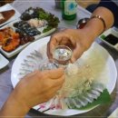 오대양물회식당 이미지