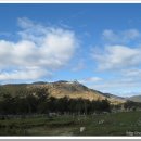 다빈이네 이미지