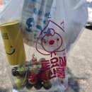 해바라기유원지 | 🌻 제4회 의령 리치리치페스티벌 후기, 가을꽃 향기 가득한 의령 가볼만한 곳(10.12.까지다.)