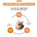 (주)이엘티사이언스 이미지