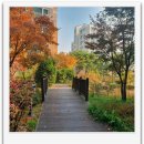 동이공인중개사사무소 이미지