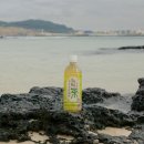청정제주녹차 영농조합법인 이미지